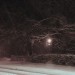 beepsnow201200w